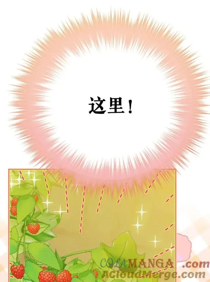《契约皇后的女儿》32.山莓田图45