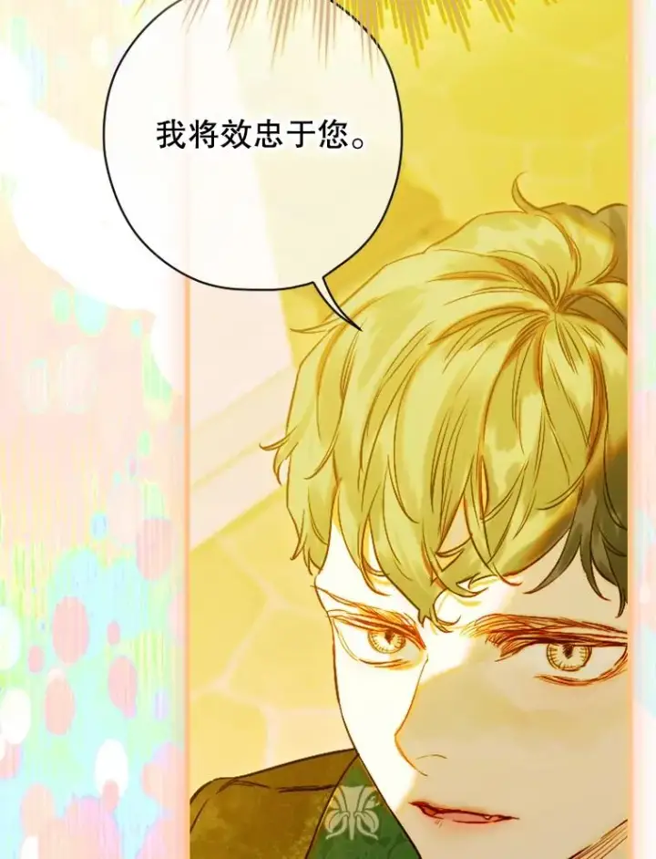《契约皇后的女儿》38.做我的护卫吧图100