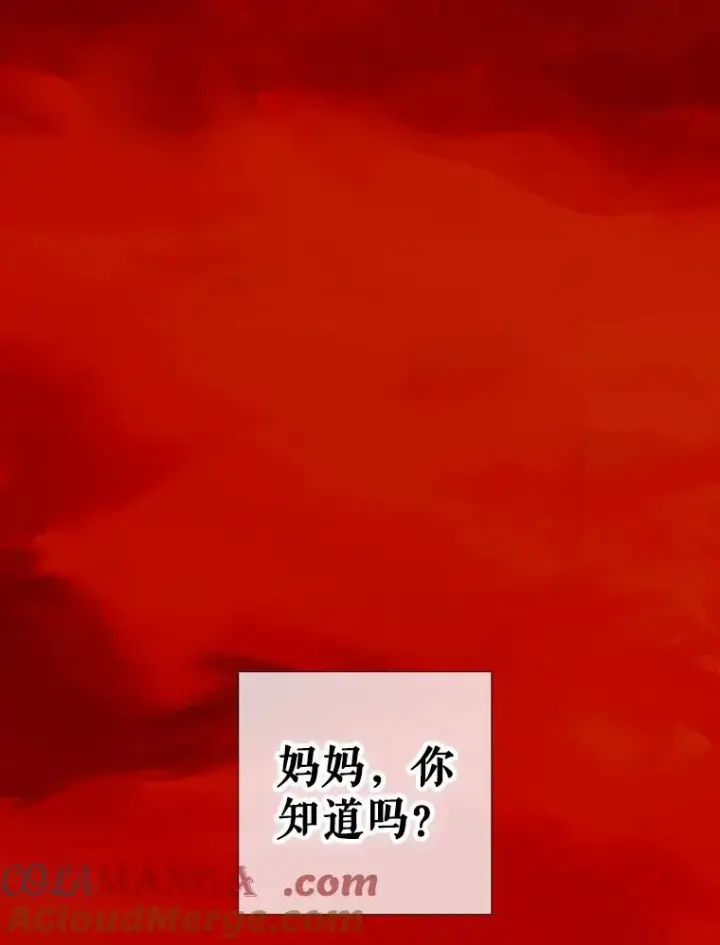 《契约皇后的女儿》3.妈妈的谎言图101