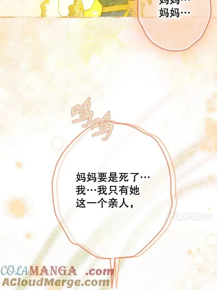 《契约皇后的女儿》48.大火图53