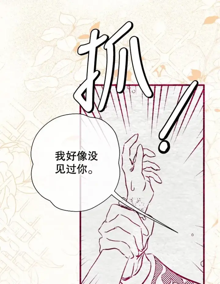 《契约皇后的女儿》5.契约结婚图3