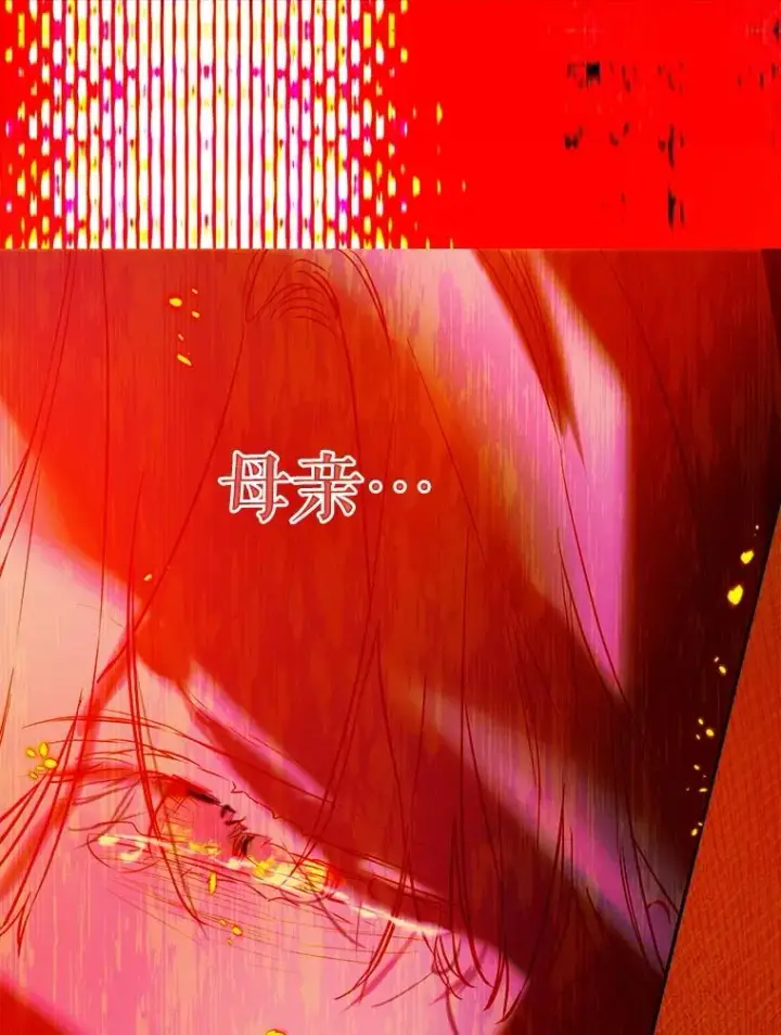 《契约皇后的女儿》74.公主的承诺图118