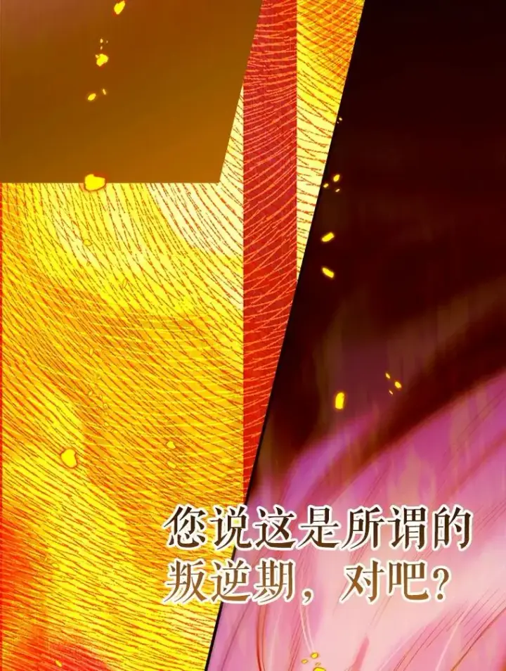 《契约皇后的女儿》74.公主的承诺图120