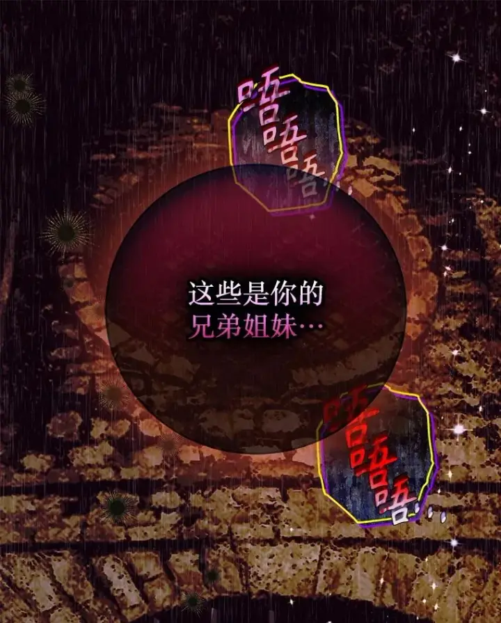 《契约皇后的女儿》74.公主的承诺图3