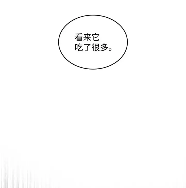 《全裸菜鸟在异世界被摩擦》88 浮游岛图25