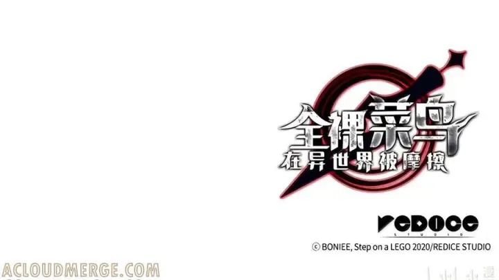 《全裸菜鸟在异世界被摩擦》227 神秘荷尔蒙图85