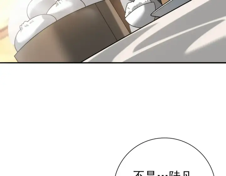 《全民转职：驭龙师是最弱职业？》第67话 礼宾国宴图133