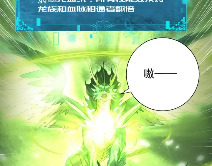 《全民转职：驭龙师是最弱职业？》第95话 龙域图34