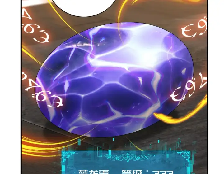 《全民转职：驭龙师是最弱职业？》第98话 雷霆的契约图20
