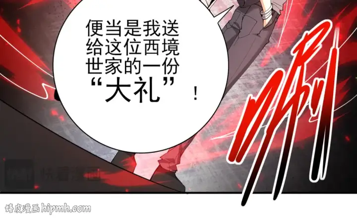 《全民转职：驭龙师是最弱职业？》第115话 西境三大世家图40