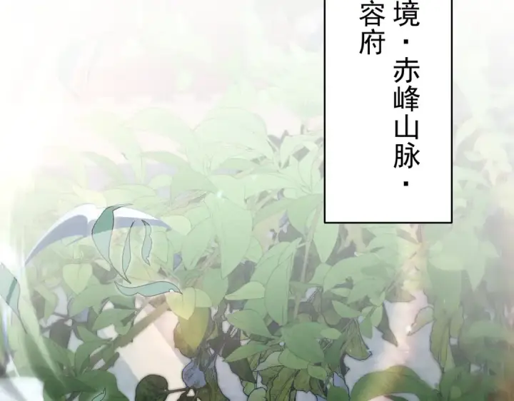 《全民转职：驭龙师是最弱职业？》第205话 陆凡的妻子！？图87