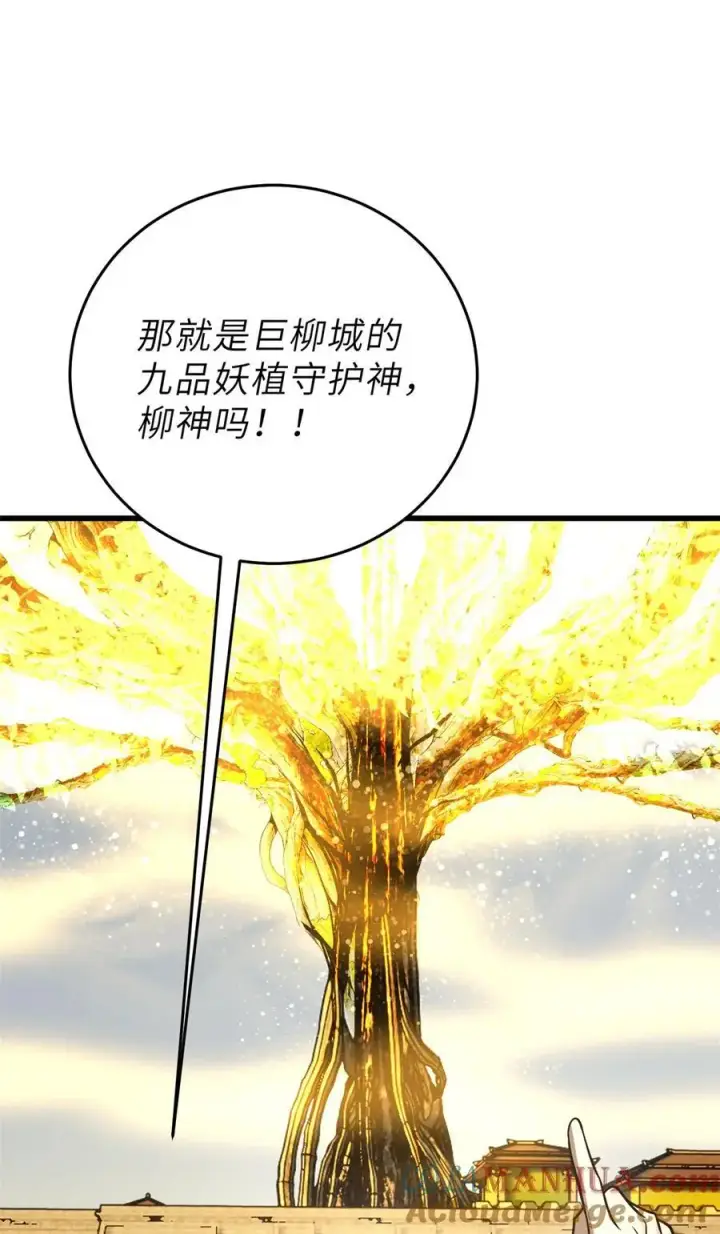 《全球高武》237 巨柳城图25