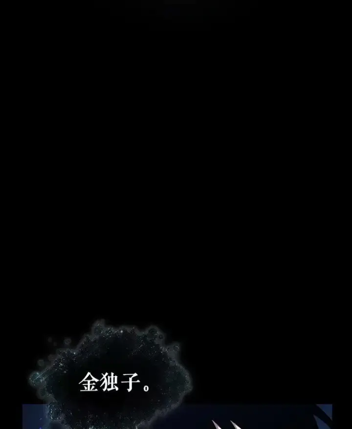 《全知读者视角》193.金独子的爱图102