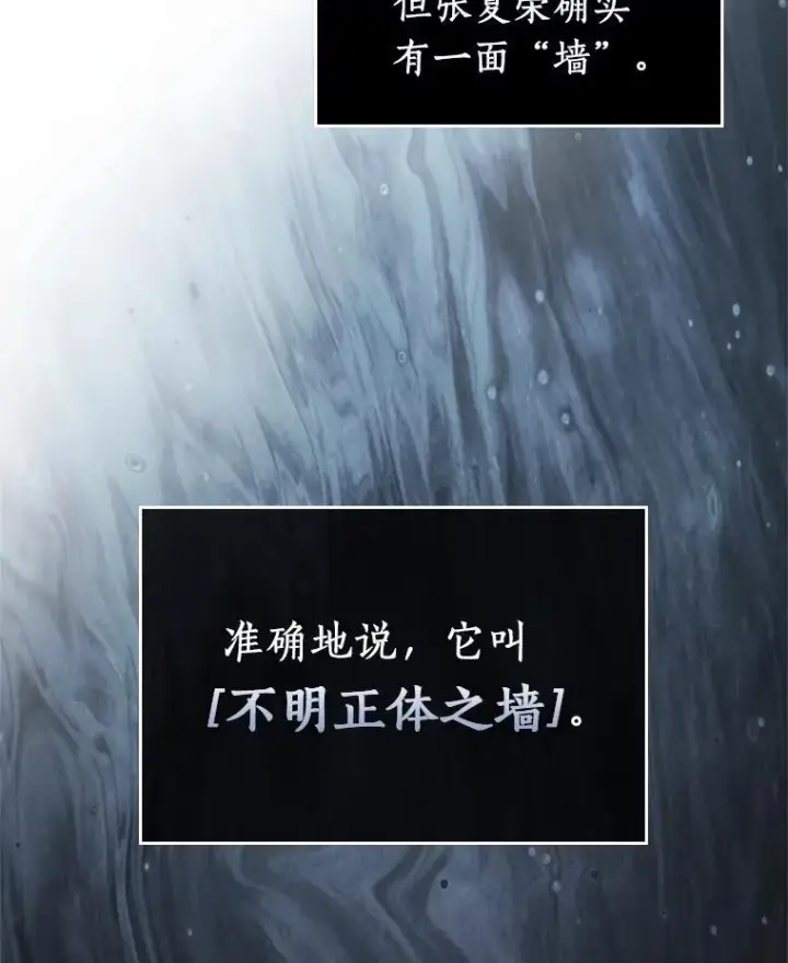 《全知读者视角》236.不明正体之墙图43