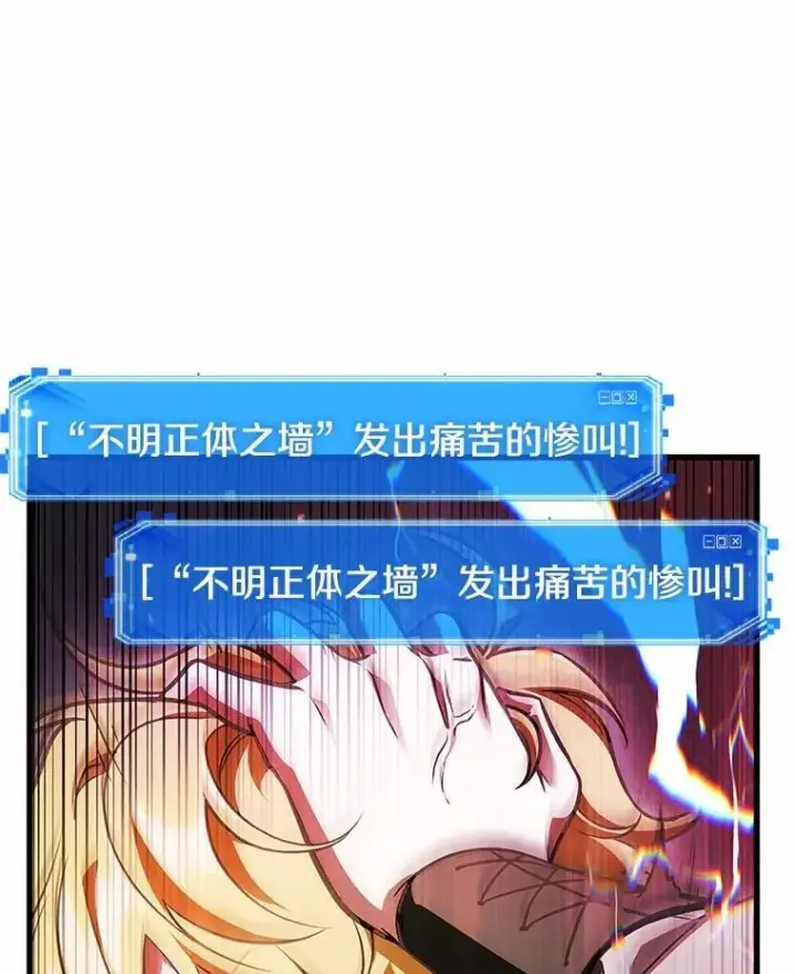 《全知读者视角》236.不明正体之墙图87