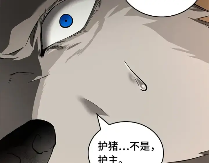 《全知读者视角》075 第五个任务（3）图239