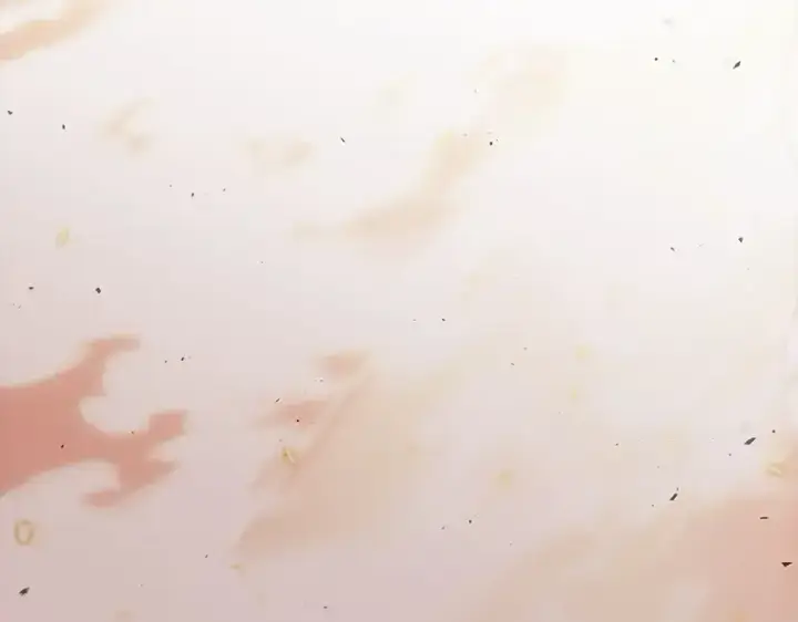 《全知读者视角》153 无法解读（1）图70