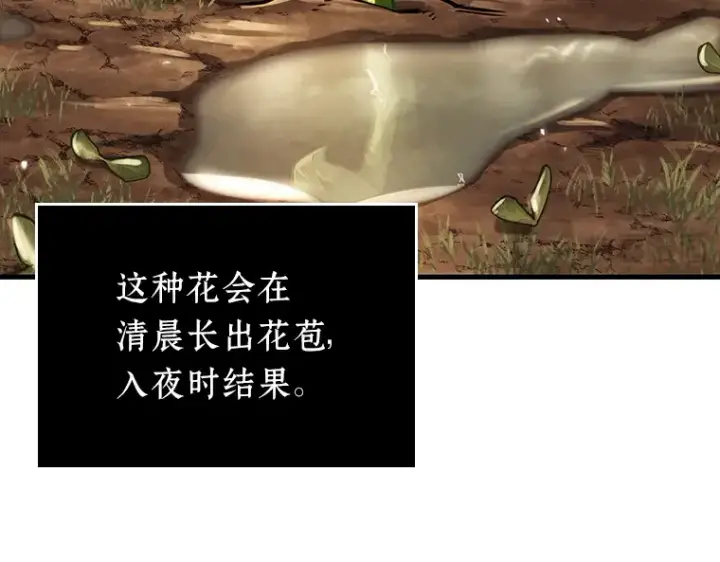 《全知读者视角》181 任务的坟墓（4）图183