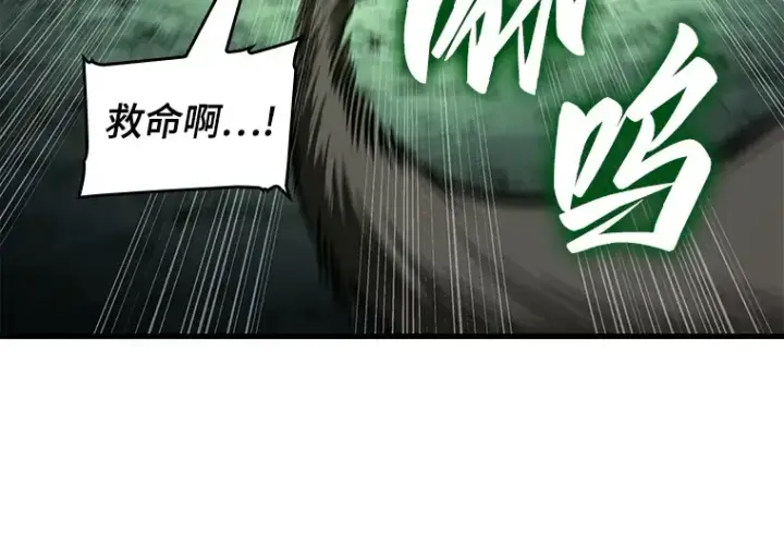 《全知读者视角》186 金独子的爱（4）图79