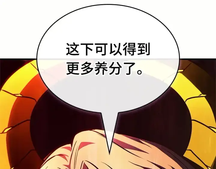 《全知读者视角》187 金独子的爱（5）图123