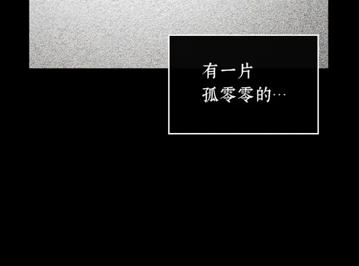 《全知读者视角》193 金独子的爱（11）图130