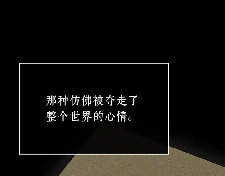 《全知读者视角》193 金独子的爱（11）图142
