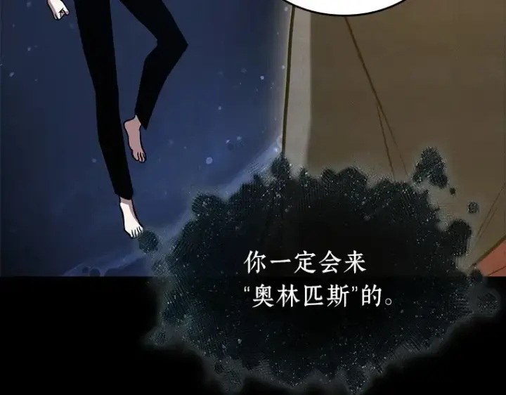 《全知读者视角》193 金独子的爱（11）图193