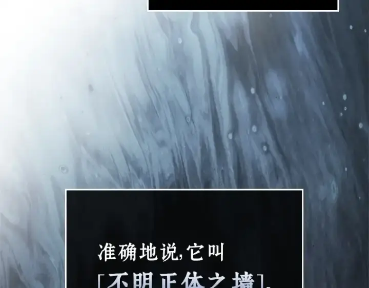《全知读者视角》236 不明正体之墙（2）图73