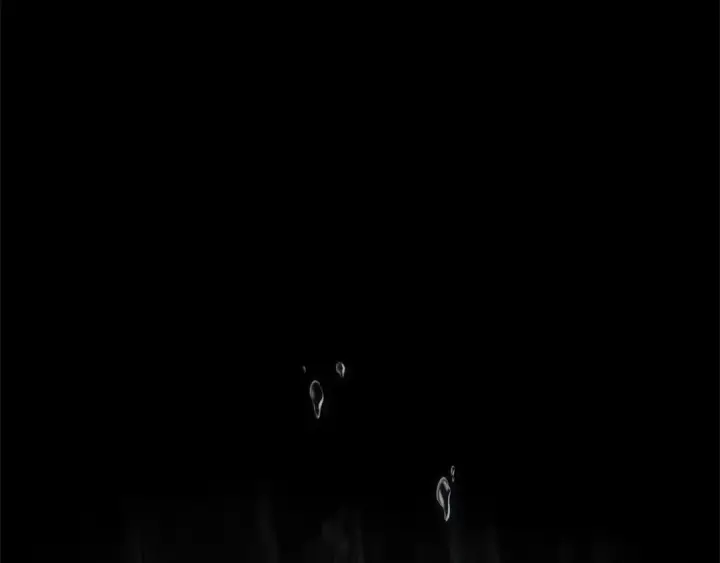 《全知读者视角》258 阿斯蒙蒂斯（6）图126