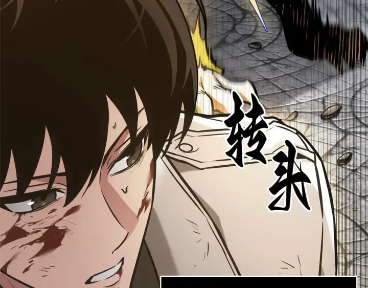 《全知读者视角》291 最擅长的事（1）图195