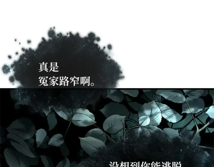 《全知读者视角》294 最擅长的事（4）图190