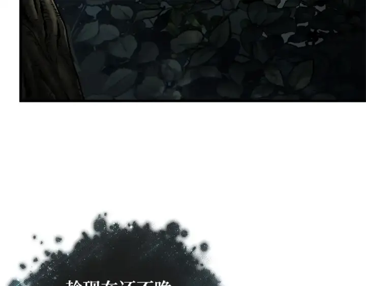 《全知读者视角》294 最擅长的事（4）图199