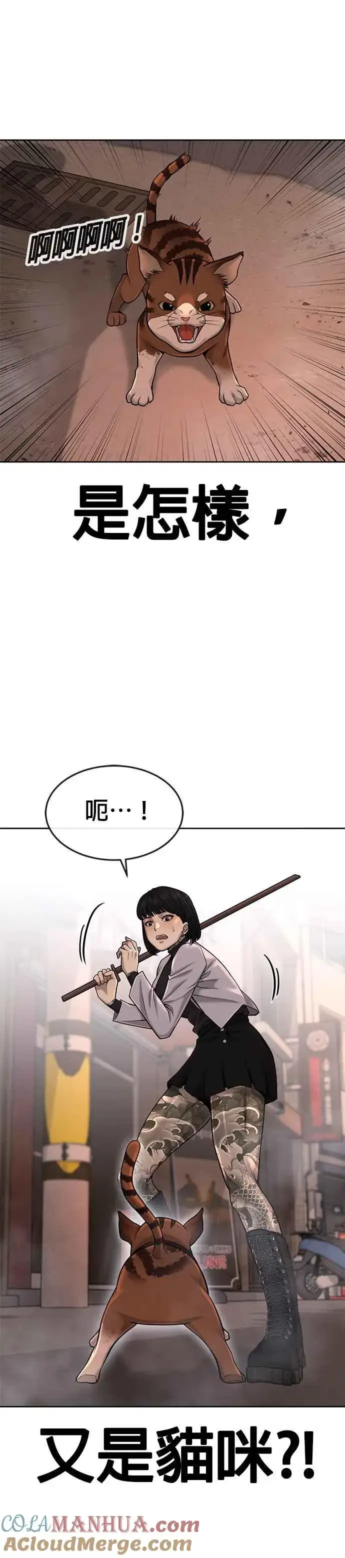 《任务至上主义》第47话 既然如此，一开始就不该激怒我啊图16