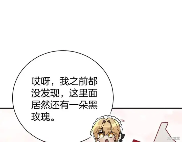 《如何拒绝前夫的执着》第35话图244