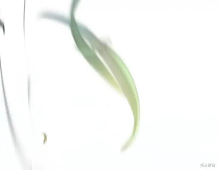 《如何拒绝前夫的执着》第37话图194