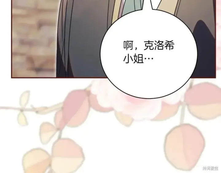 《如何拒绝前夫的执着》第37话图253