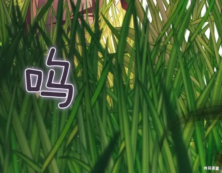 《如何拒绝前夫的执着》第47话图285