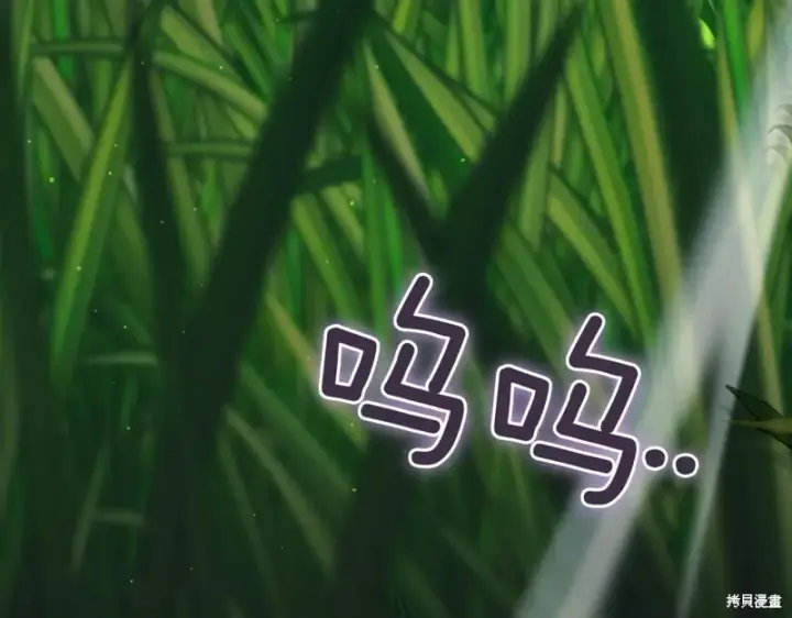《如何拒绝前夫的执着》第47话图286
