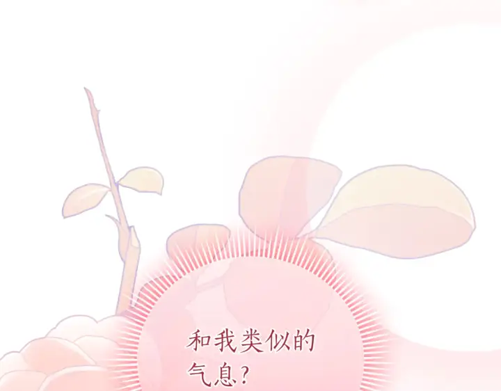 《如何拒绝前夫的执着》第39话图43