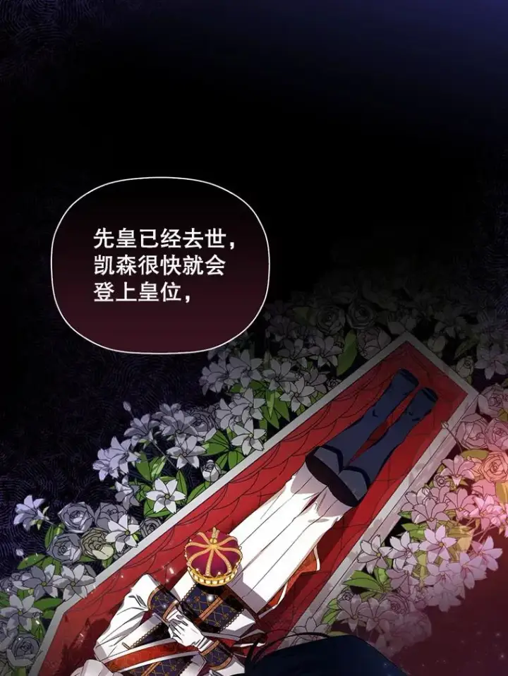 《如何隐藏皇帝的孩子》1.一日皇后图26