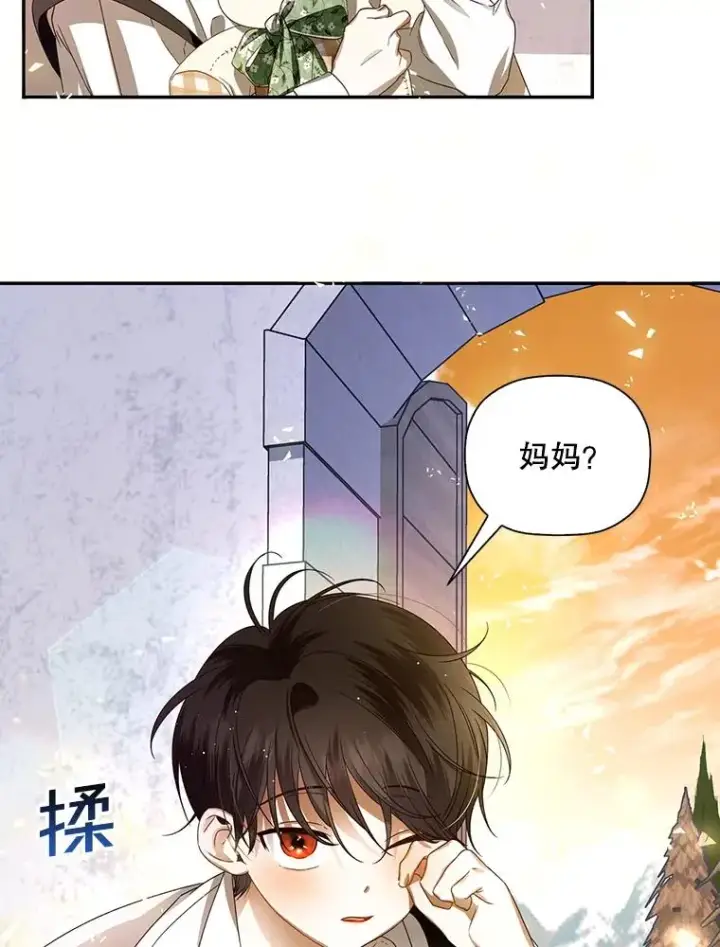 《如何隐藏皇帝的孩子》1.一日皇后图82