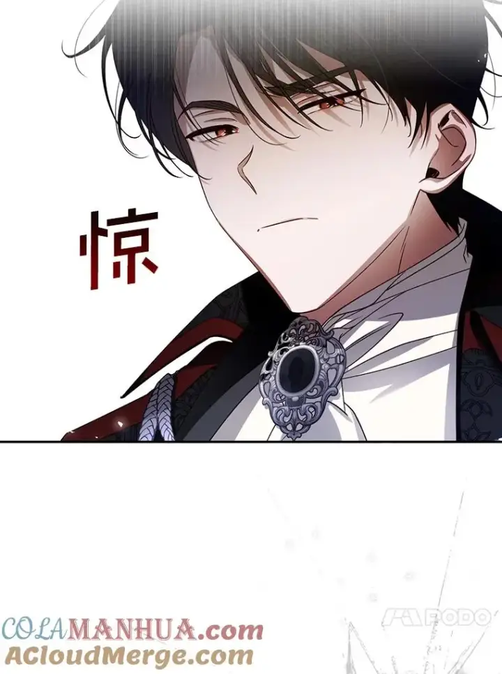 《如何隐藏皇帝的孩子》2.他是谁？图34