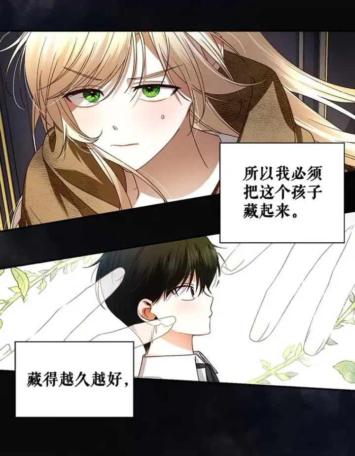 《如何隐藏皇帝的孩子》2.他是谁？图53