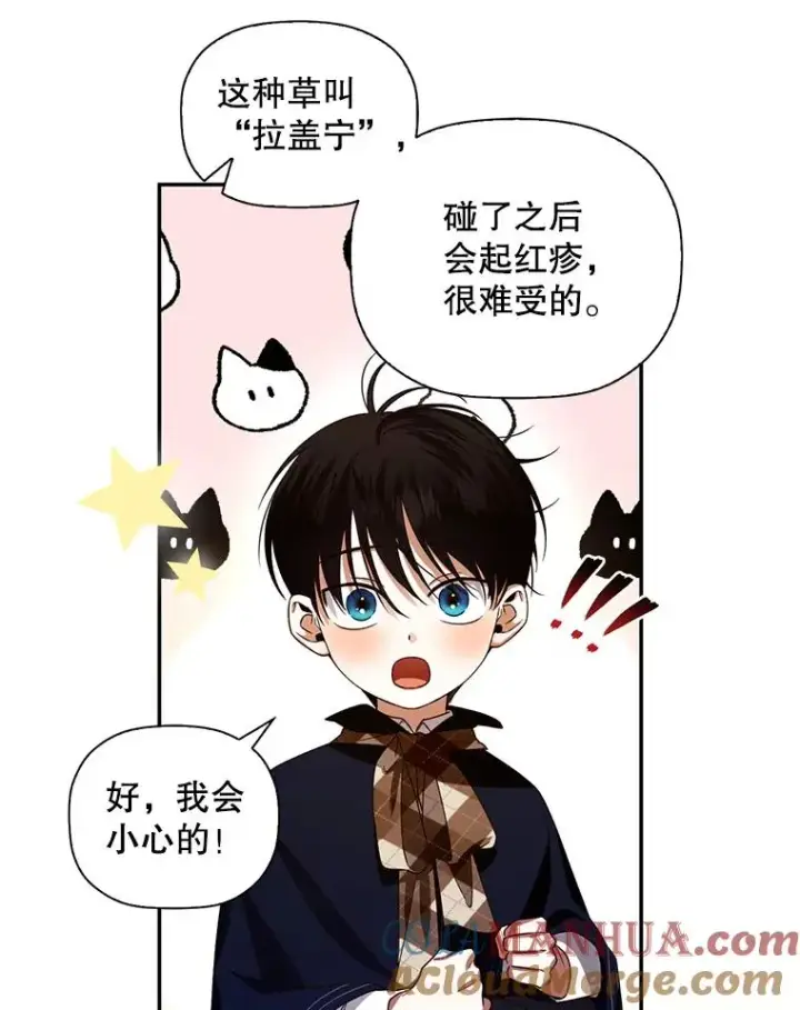 《如何隐藏皇帝的孩子》6.闲言碎语图40