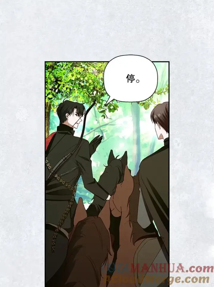 《如何隐藏皇帝的孩子》8.狩猎大会图52