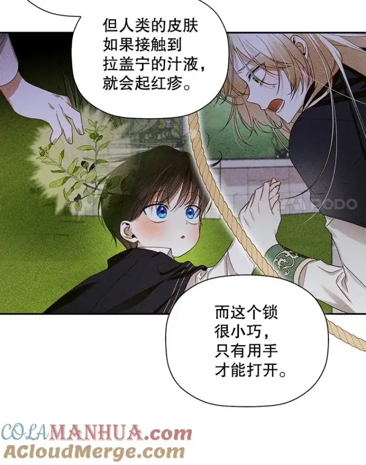 《如何隐藏皇帝的孩子》11.幕后主使图61