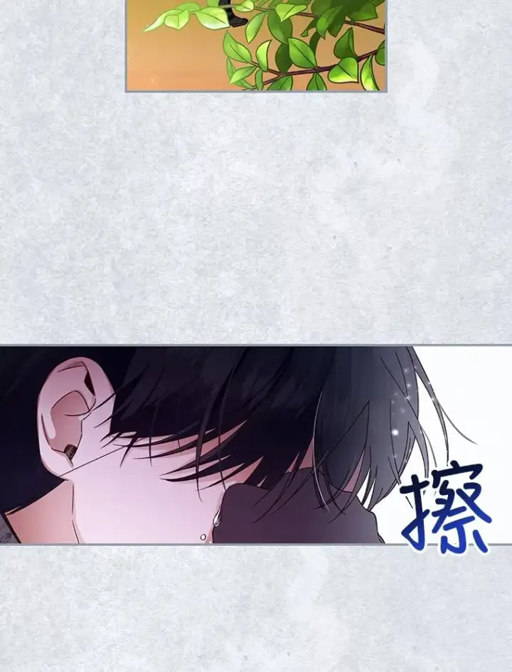 《如何隐藏皇帝的孩子》14.晴天霹雳图12