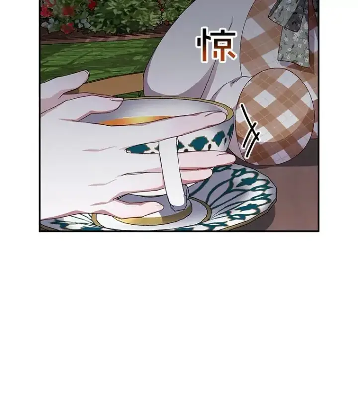 《如何隐藏皇帝的孩子》14.晴天霹雳图39