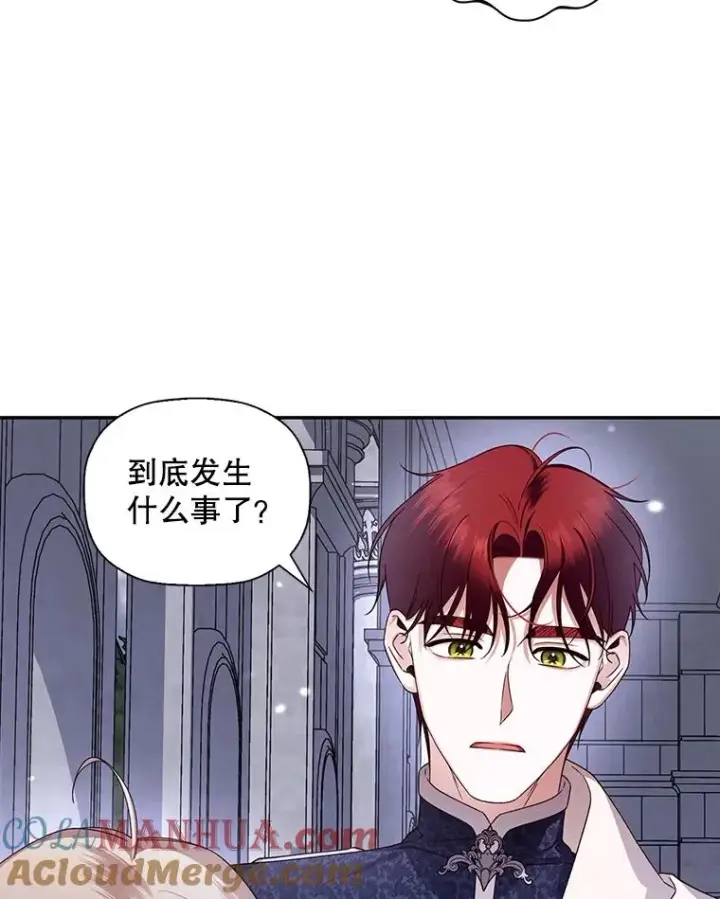 《如何隐藏皇帝的孩子》14.晴天霹雳图58