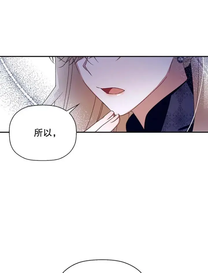 《如何隐藏皇帝的孩子》14.晴天霹雳图78